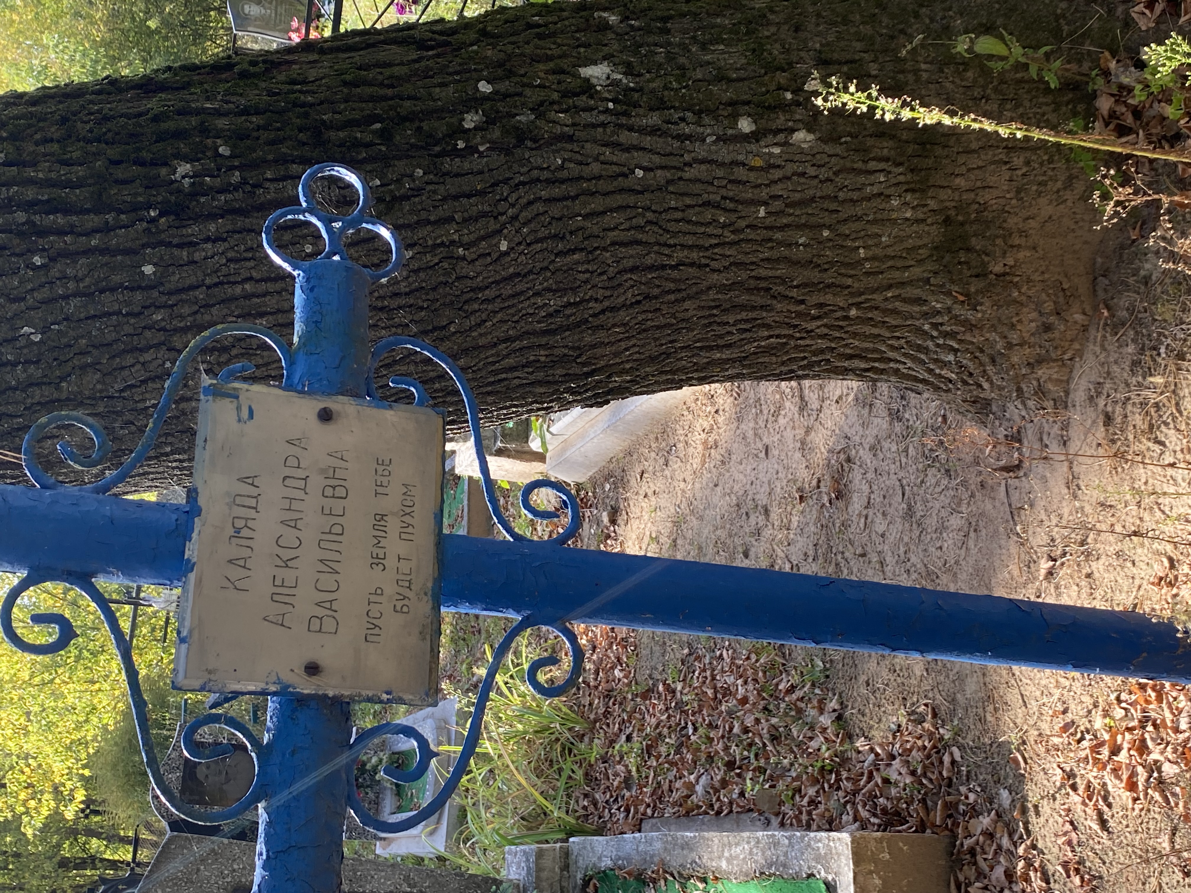 Фотография надгробия